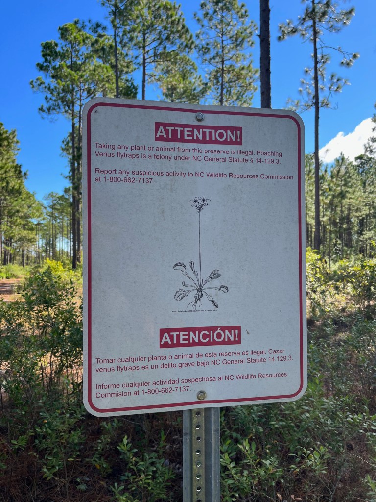 This image has an empty alt attribute; its file name is img_1912.jpeg