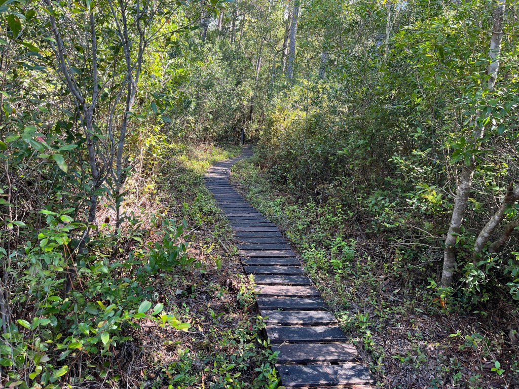 This image has an empty alt attribute; its file name is img_1925.jpeg