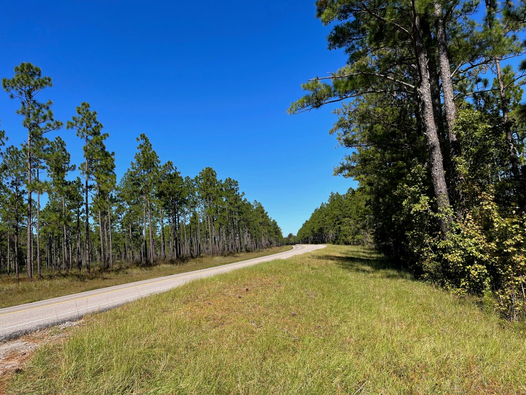 This image has an empty alt attribute; its file name is img_2238.jpeg